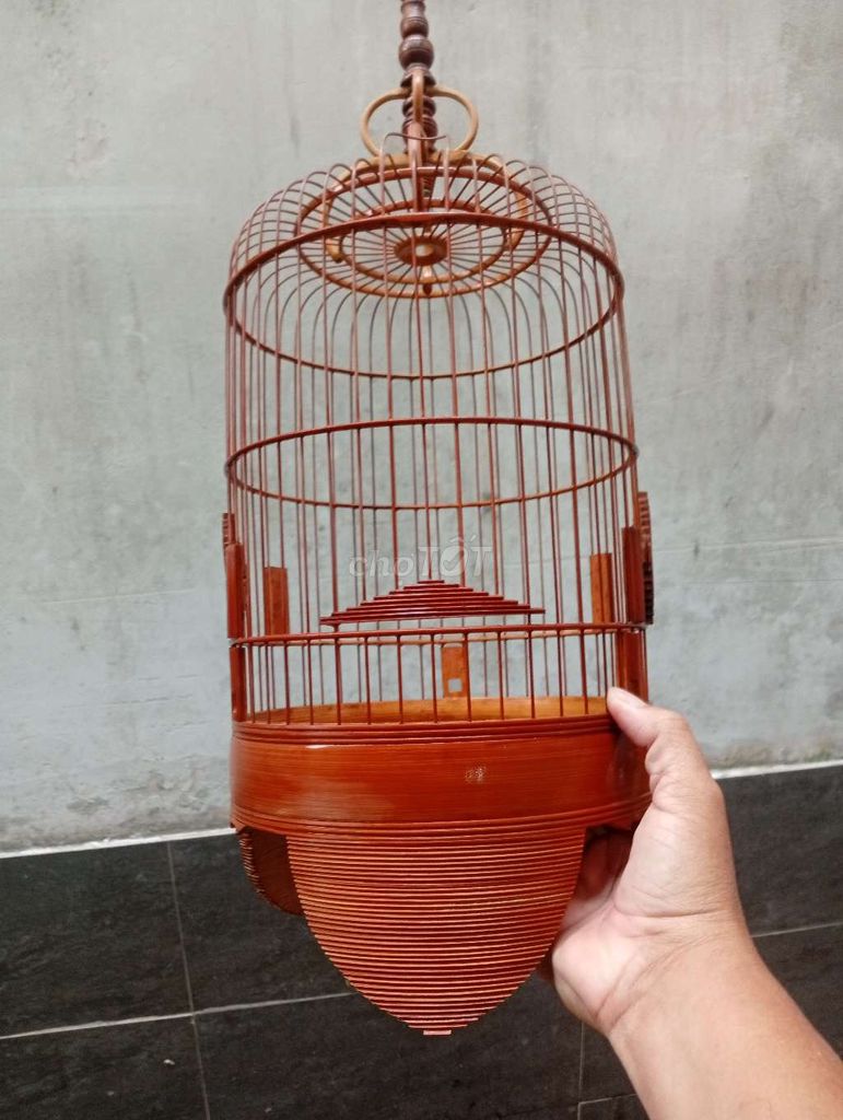 (lồng)chim vành khuyên. Mua bán Chim tại Quận 6 Tp Hồ Chí Minh được đăng bởi chuyên 7 màu hình 1