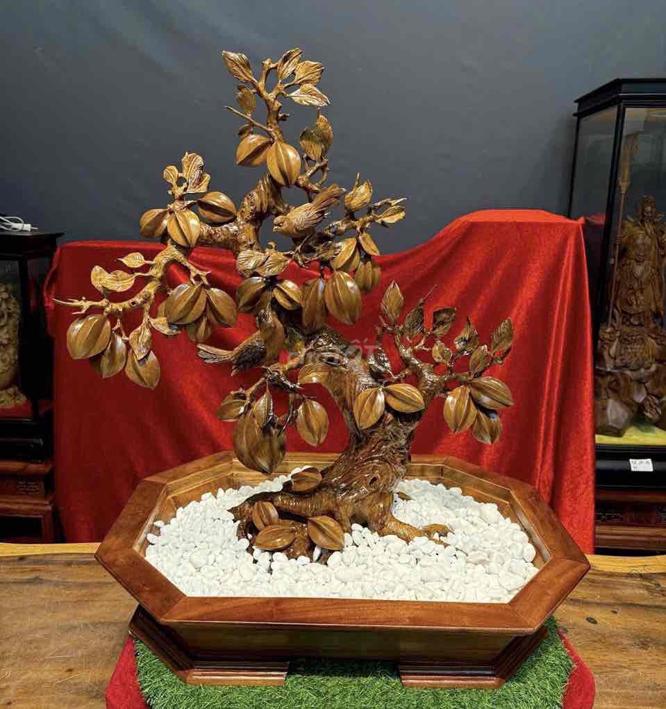 Cây cảnh Cây khế. Mua bán Cây cảnh, đồ trang trí tại Quận Thanh Xuân Hà Nội được đăng bởi Nguyễn Đức Liêm hình 1