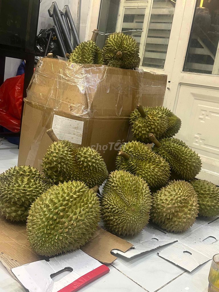 sầu riêng. Mua bán Đồ ăn, thực phẩm và các loại khác tại Huyện Nhà Bè Tp Hồ Chí Minh được đăng bởi Bé Bắp hình 1