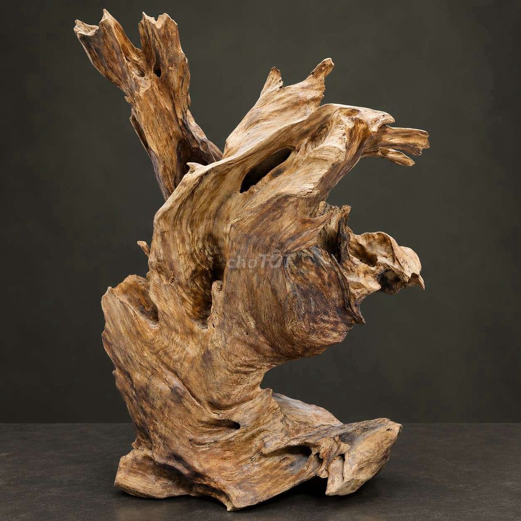 Tượng gỗ lũa Chim 83x57x47cm