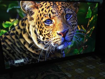 tv LG 65 inch 4k giọng nói bluetooth. Mua bán Tivi, Âm thanh tại Thành phố Bến Tre Bến Tre được đăng bởi Khang