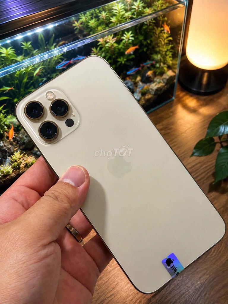 iPhone 12 Pro Max 128GB Vàng Mới. Mua bán Điện thoại tại Quận Nam Từ Liêm Hà Nội được đăng bởi tu pham hình 1