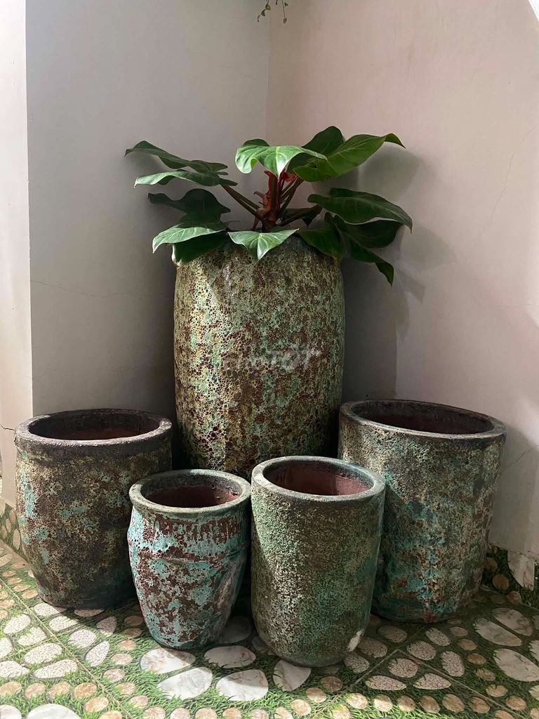 Chậu cây gốm Xanh rêu cổ điển. Mua bán Cây cảnh, đồ trang trí tại Thị xã Ninh Hòa Khánh Hòa được đăng bởi hòa hình 1