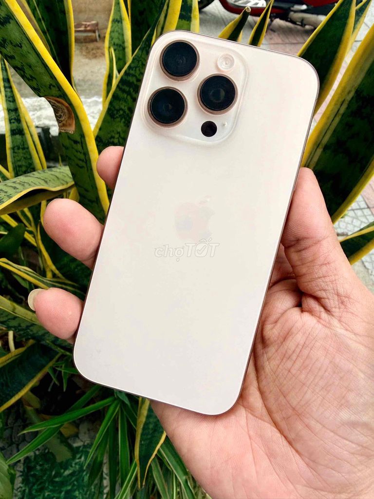 Apple iPhone 16 Pro 128GB Sa mạc. Mua bán Điện thoại tại Quận Thanh Khê Đà Nẵng được đăng bởi Trần Thanh Phúc hình 1