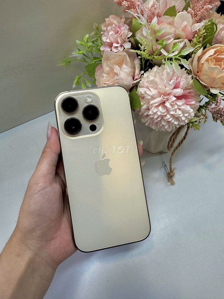 IPhone 14 Pro Gold LL 128G pin 87%. Mua bán Điện thoại tại Quận 1 Tp Hồ Chí Minh được đăng bởi Bùi Minh Trí hình 1