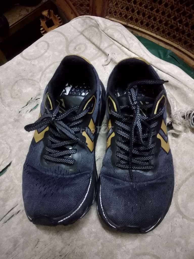 Giày Sneaker Thể Thao Chạy Bộ Run Together,bao sip. Mua bán Giày dép tại Quận Ninh Kiều Cần Thơ được đăng bởi Shop Tứ Quí hình 1