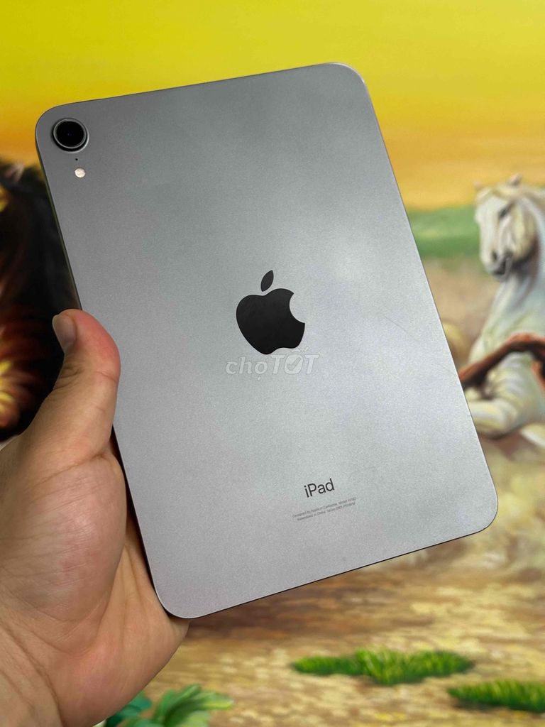 Apple iPad Mini 6 64GB Xám Zin all Fullcn. Mua bán Máy tính bảng tại Thành phố Nam Định Nam Định được đăng bởi Trí Dũng Store hình 1