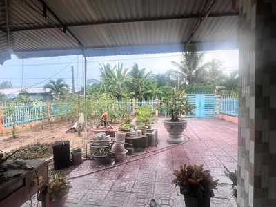 NHÀ VƯỜN NGHỈ DƯỠNG-SÂN RỘNG,VƯỜN CÂY ĂN TRÁI SẴN CÓ-Tổng DT 867m2. Mua bán nhà ở tại Huyện Cao Lãnh Đồng Tháp được đăng bởi Trọng Hiếu Lê