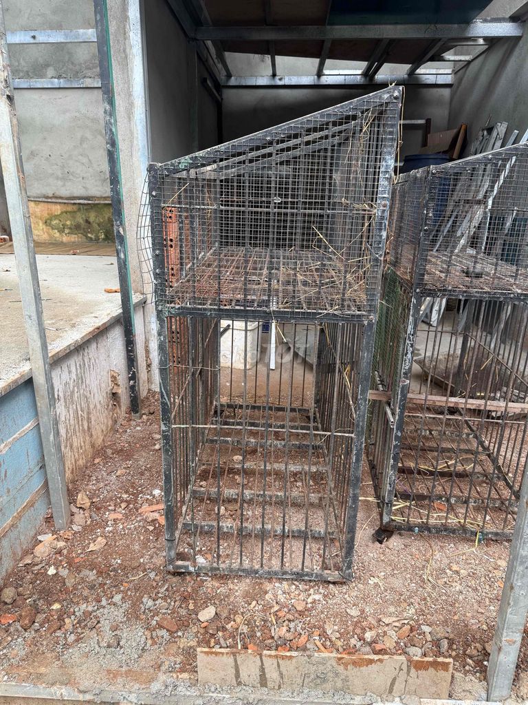 Máy trộn bê tông Kim loại Bạc. Mua bán Đồ chuyên dụng, Giống nuôi trồng tại Thành phố Buôn Ma Thuột Đắk Lắk được đăng bởi Na Na hình 1