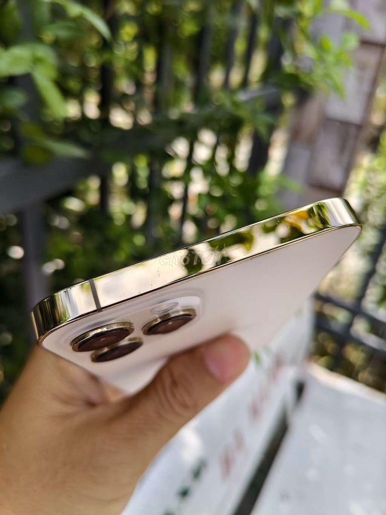 Apple iPhone 12 Pro Max Vàng Đã sử dụng. Mua bán Điện thoại tại Huyện Thoại Sơn An Giang được đăng bởi Foryou Mobile hình 1