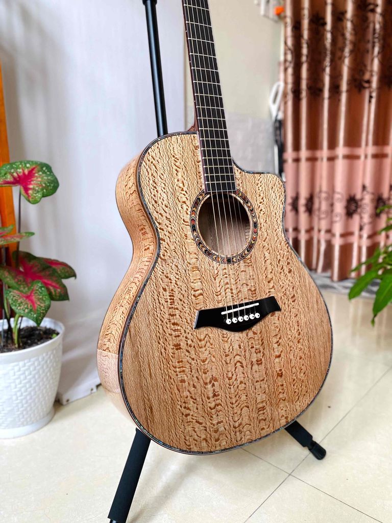 Đàn guitar acoustic cao cấp full gỗ sồi pháp 100%. Mua bán Nhạc cụ tại Quận Tân Phú Tp Hồ Chí Minh được đăng bởi GUITAR GIÁ TỐT TÂN PHÚ hình 1
