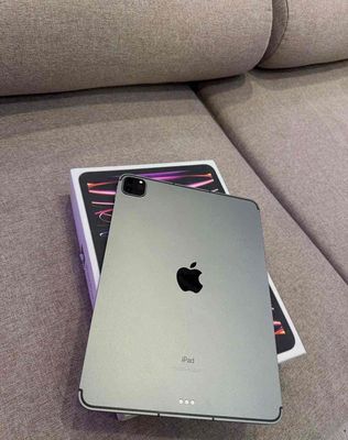 iPad Pro 11in M1 256GB Xám Wifi 93%
