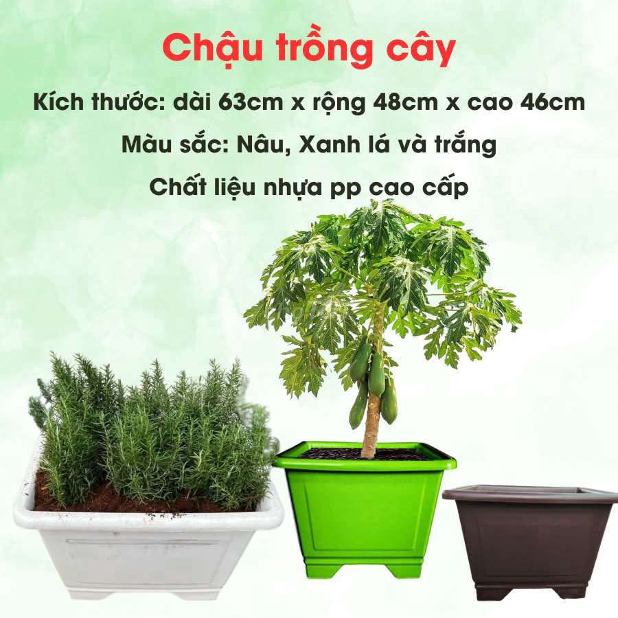 CHẬU NHỰA TRỒNG CÂY