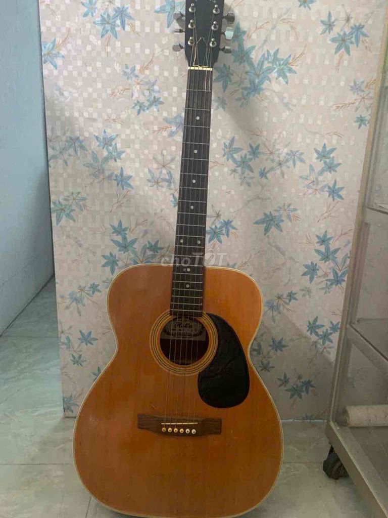 Đàn guitar Hoita F120 Gỗ Nâu kèm bao da. Mua bán Nhạc cụ tại Quận Bình Thuỷ Cần Thơ được đăng bởi Võ Văn Sắt hình 1