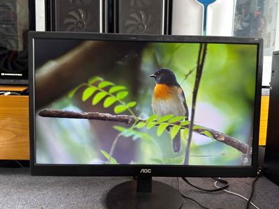 MÀN HÌNH AOC 22" ĐẸP ZIN SÁNG CHO ANH EM SỬ DỤNG. Mua bán Phụ kiện (Màn hình, Chuột...) tại Quận Phú Nhuận Tp Hồ Chí Minh được đăng bởi tiến tài 770 nguyễn kiệm p4 quận phú nhuận