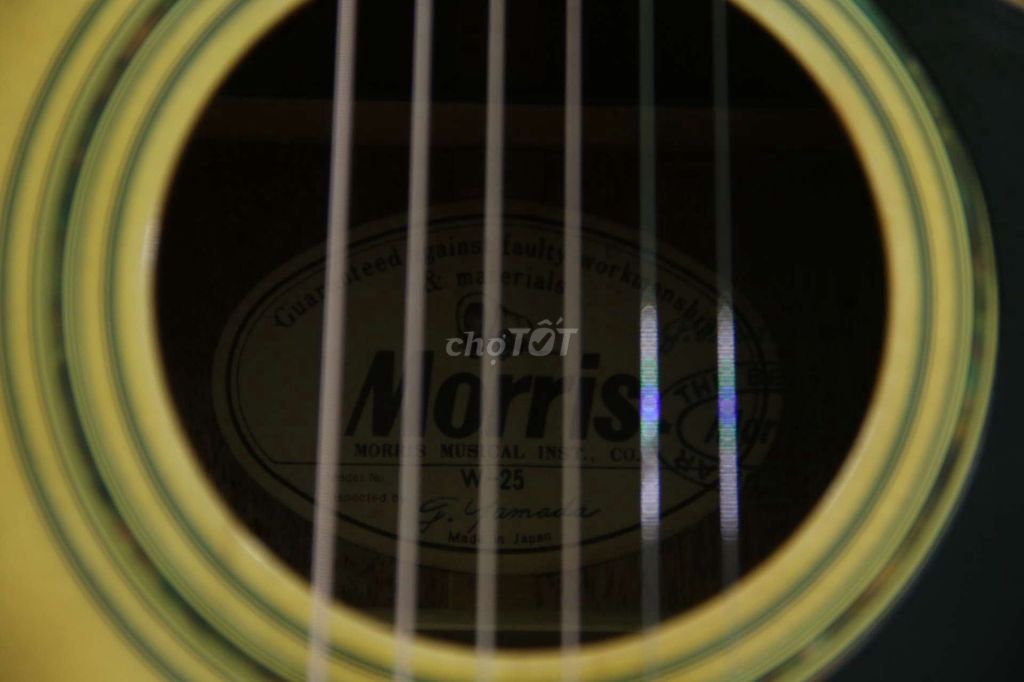 0943932358 - Morris W-25 acoustic guitar Nhật bãi đẹp long lanh