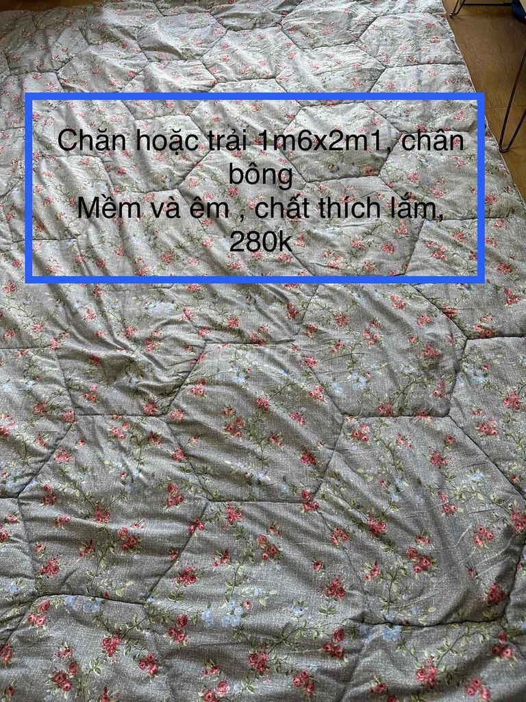 Chăn cotton mát hoa xinh Hàn (1m5x2m)