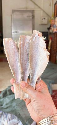 Khô cá đù đủ nắng (18 đến 20 con 1kg)