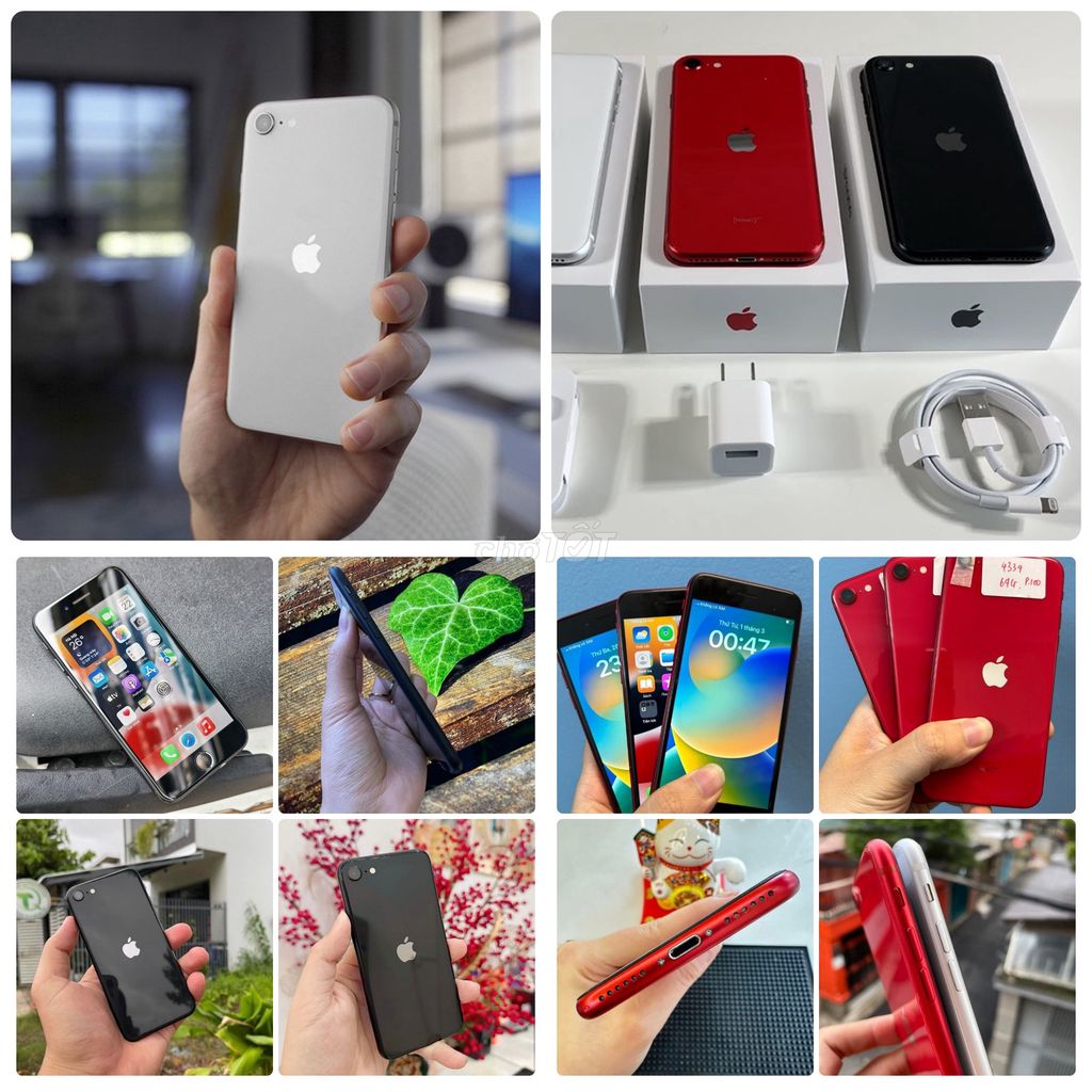 SE 2020 Quốc Tế 256GB/128GB/64Gb Có Bh có ship. Mua bán Điện thoại tại Quận Tân Phú Tp Hồ Chí Minh được đăng bởi Thảo Anh Apple Giá sỉ hình 1