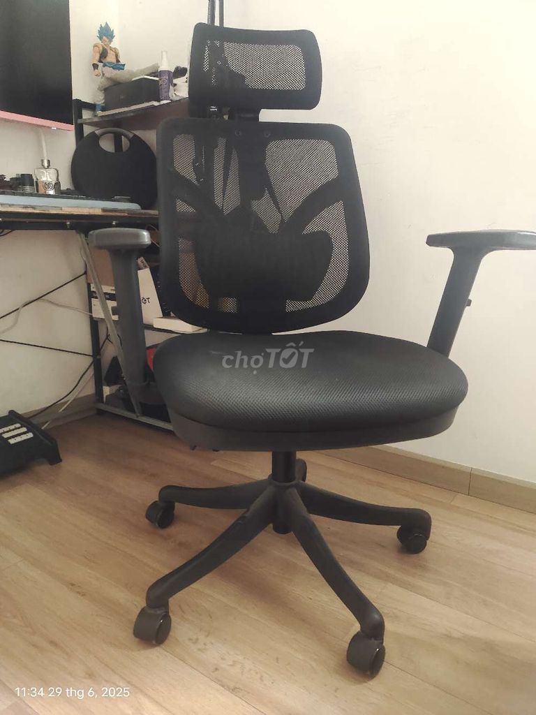 Cần bán ghế sihoo m56