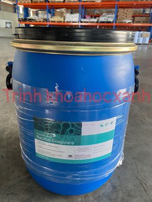 BACILLUS COAGULANS - vi sinh xử lý nước và cho ăn