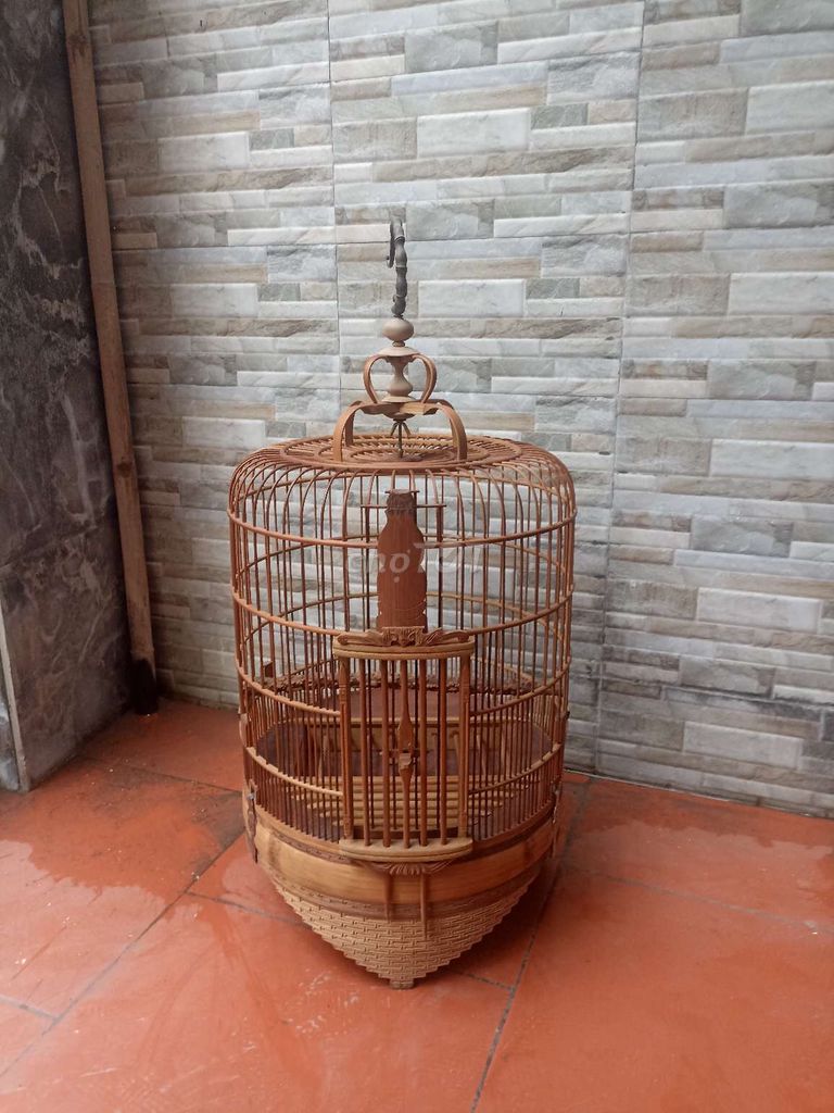 Hoạ mi trống