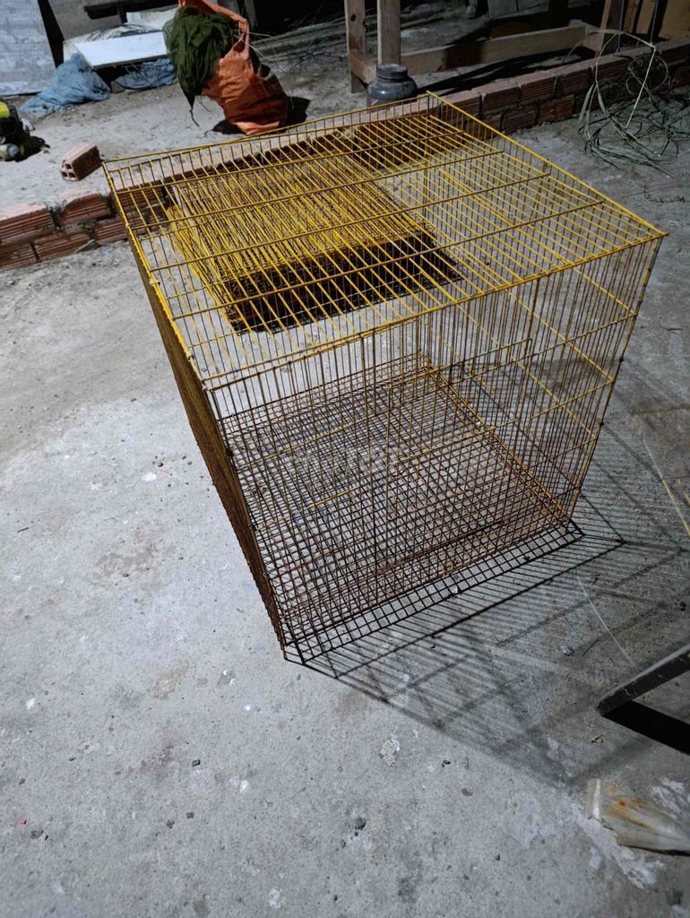 Lồng chim kim loại 60x60cm. Mua bán Phụ kiện, Thức ăn, Dịch vụ tại Huyện Cần Giuộc Long An được đăng bởi Hào hình 1