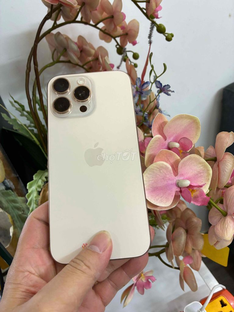 Apple iPhone 16 Pro Max 256GB quốc tế gold. Mua bán Điện thoại tại Thành phố Buôn Ma Thuột Đắk Lắk được đăng bởi Tèo Điện Thoại  hình 1