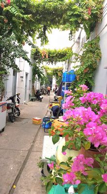 Phòng đẹp 2.6tr – trệt + gác cao – không phí DV,  xe  – vào ở ngay