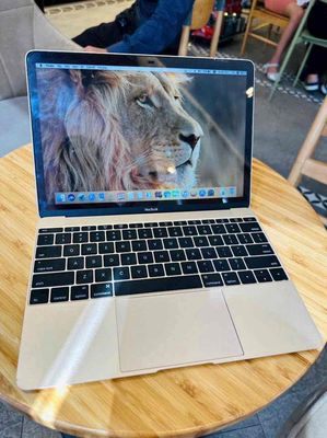 BÁN MACBOOK RETINA 12-INCH (2017). Mua bán Laptop tại Quận Gò Vấp Tp Hồ Chí Minh được đăng bởi Huy Trần