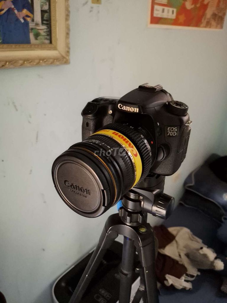 Máy ảnh Canon 70D/ Tamron 17-50 Non-VC.. Mua bán Máy ảnh, Máy quay tại Quận Hoàng Mai Hà Nội được đăng bởi Trương Hồng Sơn hình 1