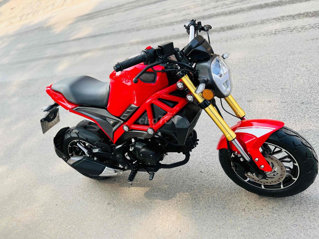 Moto monster ducattiMini đẹp mới cứng.biển 29 pkl