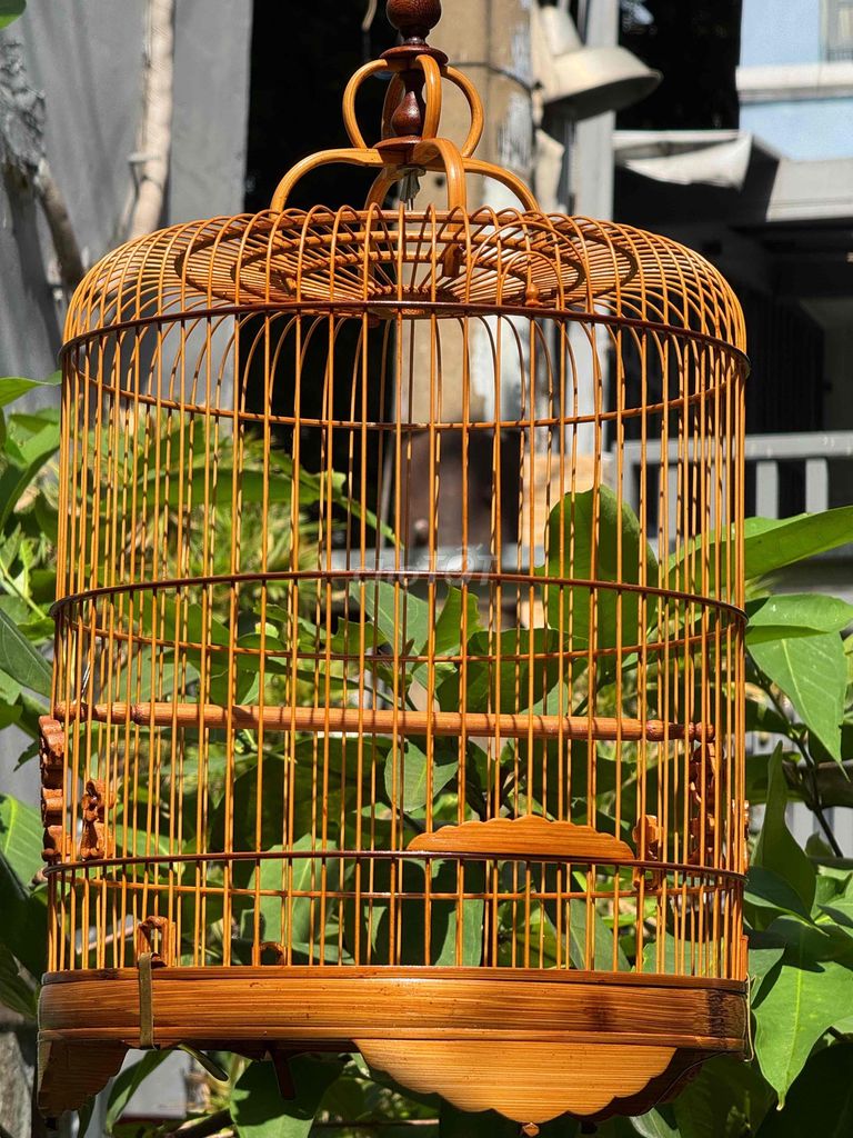 Lồng tre già Pố Lủng đẹp. Mua bán Chim tại Quận Gò Vấp Tp Hồ Chí Minh được đăng bởi Khoa Trần hình 1