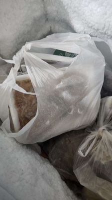 Thức ăn đông lạnh Chó Mèo