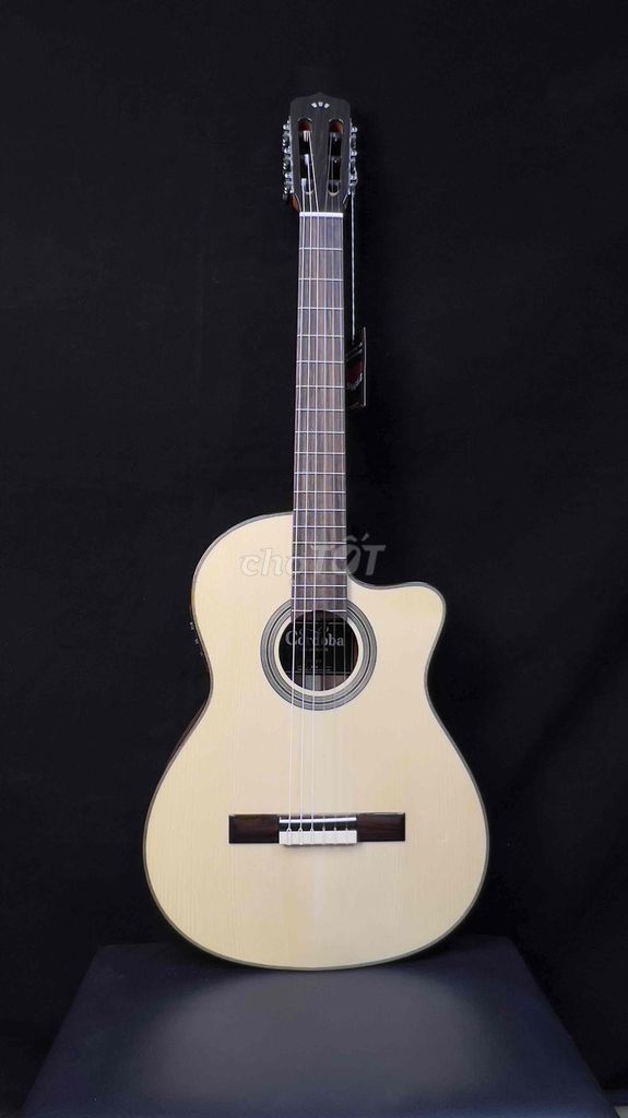 Đàn Classic Codoba Fusion 12 Maple