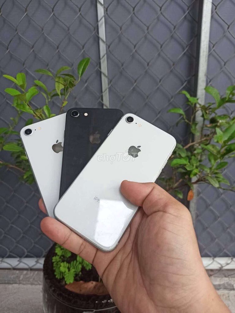 Apple iPhone 8 64GB zin full cn giao lưu gl. Mua bán Điện thoại tại Thành phố Thủ Dầu Một Bình Dương được đăng bởi Ngoc ha hình 1