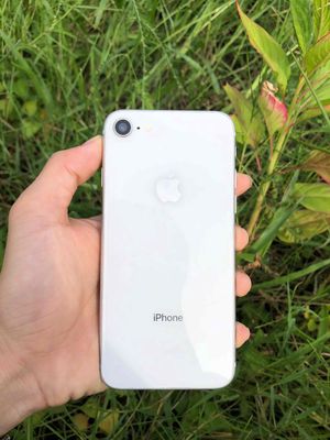 Bán iphone 8 qte. Mua bán Điện thoại tại Huyện An Minh Kiên Giang được đăng bởi Cường Lê