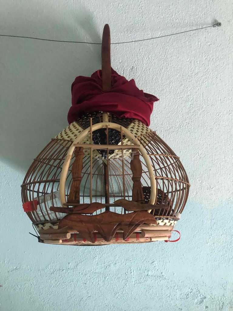 Lồng tre size 36. Mua bán Phụ kiện, Thức ăn, Dịch vụ tại Quận 7 Tp Hồ Chí Minh được đăng bởi nguyen linh hình 1