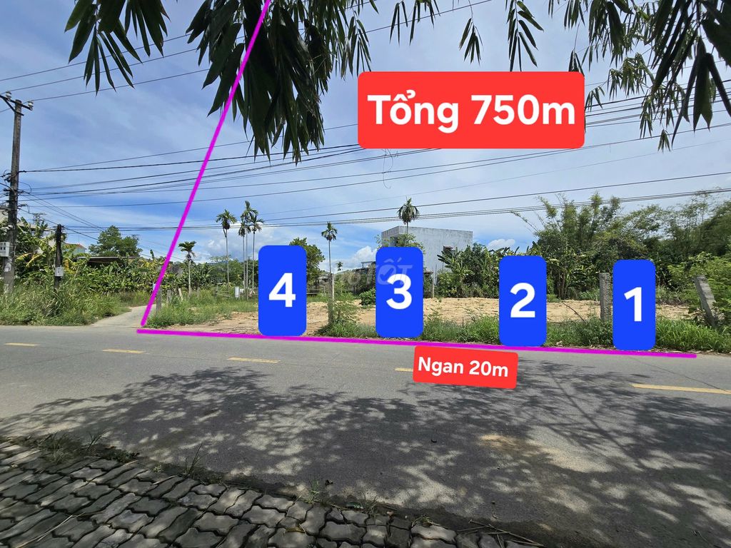 Bán cụm 7 lô Hoà Tiến mặt tiền đường nhựa 8m 