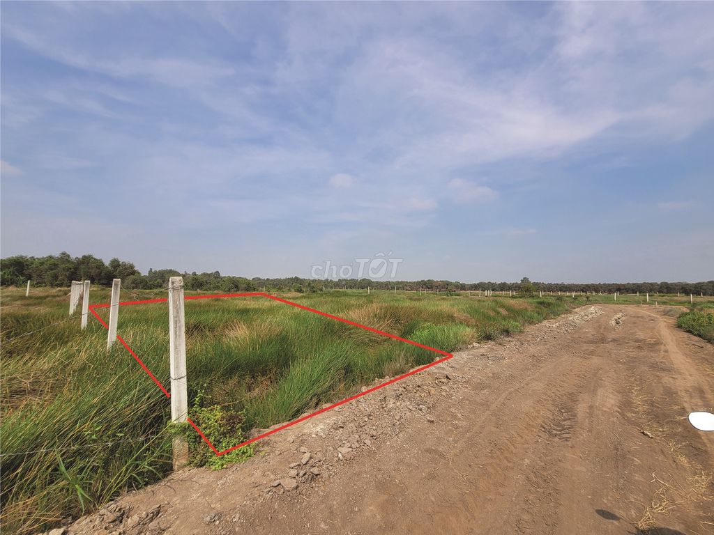 Chính chủ cần bán lô đất vườn sổ đỏ: 1.000m2 tại xã Tân An Hội, Củ Chi
