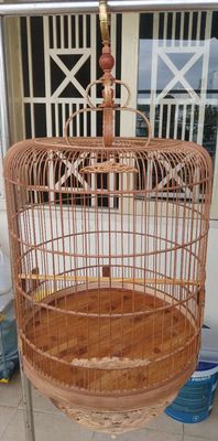 Hà nội chạm song long 68. Mua bán Chim tại Quận 7 Tp Hồ Chí Minh được đăng bởi Tên chưa cung cấp