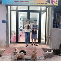 Pet shop chó cảnh Hà Nội