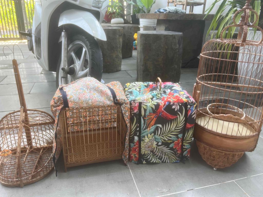 Lồng chim chim khuyên hút mật. Mua bán Phụ kiện, Thức ăn, Dịch vụ tại Quận Ngũ Hành Sơn Đà Nẵng được đăng bởi huỳnh quốc hình 1
