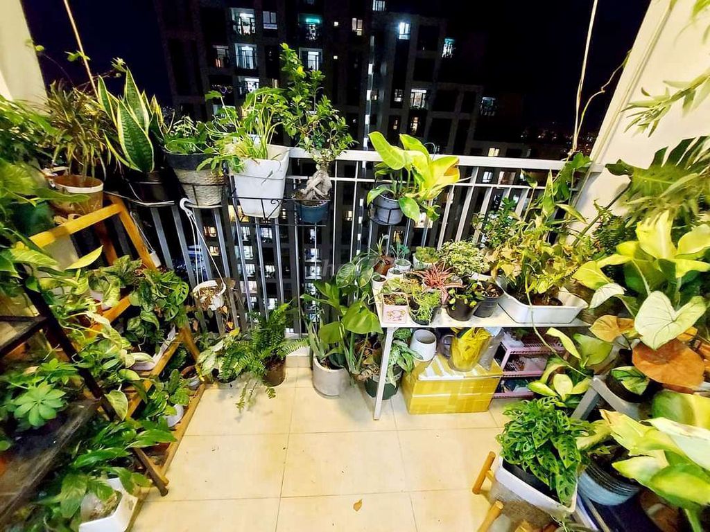 cho thuê LUXGARDEN QUẬN 7- 03 máy lạnh- giá 9tr