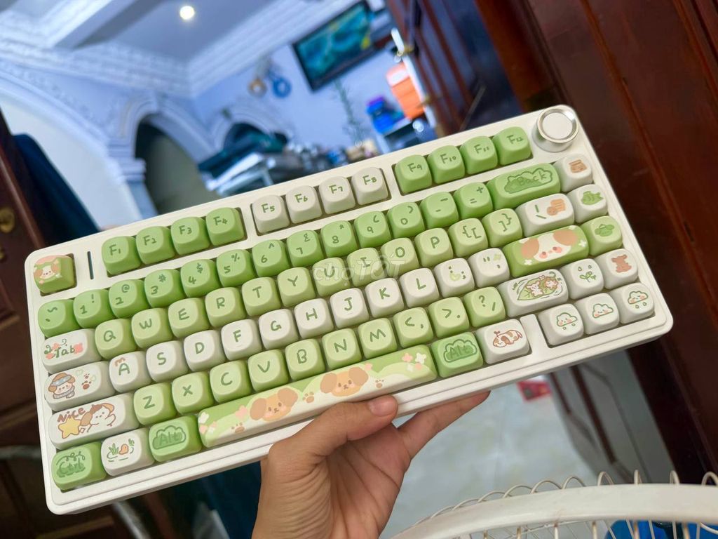 Bàn phím cơ Trắng Xanh lá. Mua bán Phụ kiện (Màn hình, Chuột...) tại Quận 7 Tp Hồ Chí Minh được đăng bởi Kiều hình 1