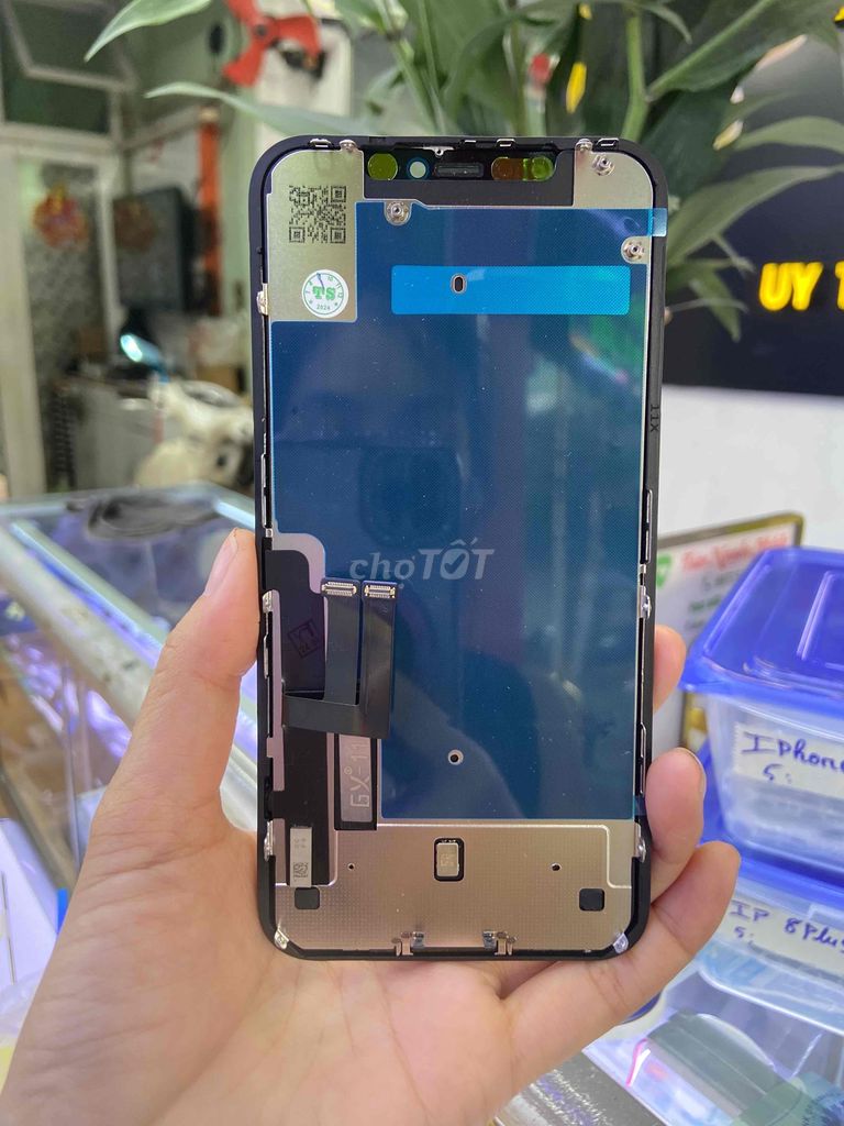 Màn hình iphone 11. GX