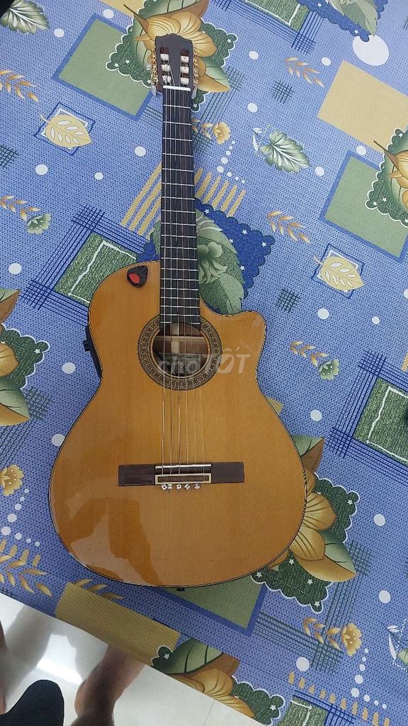 Guitar chuyên nghiệp Yamaha CGX171 CCA