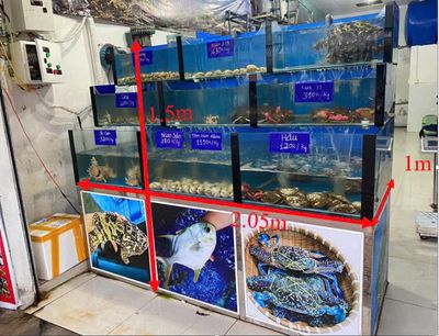 Bể hải sản. Mua bán Đồ chuyên dụng, Giống nuôi trồng tại Huyện Trảng Bom Đồng Nai được đăng bởi Nguyễn Tiến Ngọc