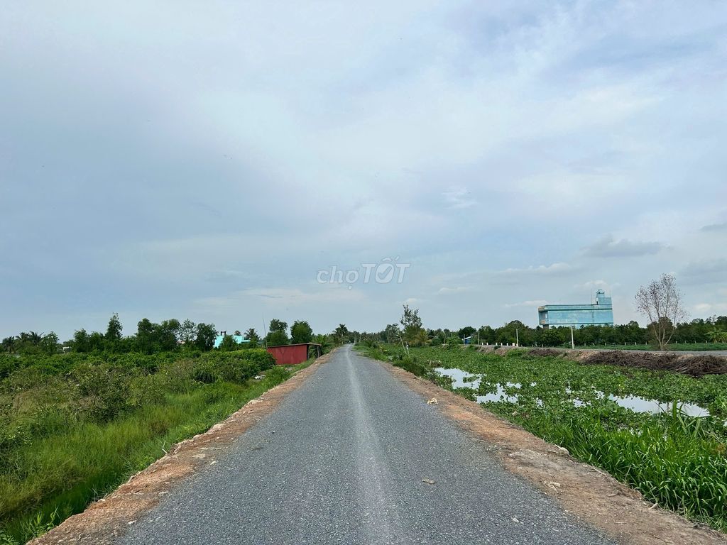 1000mv vườn đường 7 chổ giá chỉ 550 triệu sổ sẵn công chứng nhanh. Mua bán đất tại Huyện Bến Lức Long An được đăng bởi BaoBDS hình 1