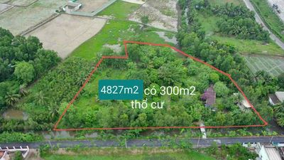 4827m2 có 300m2 thổ cư MT đường Kênh A thị trấn Tân Túc, Bình Chánh. Mua bán đất tại Huyện Bình Chánh Tp Hồ Chí Minh được đăng bởi Nguyễn Huy Tùng